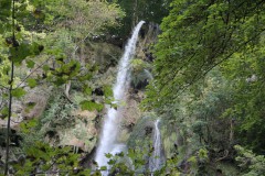 IMG_7746
