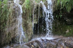 IMG_7753