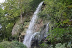 IMG_7767