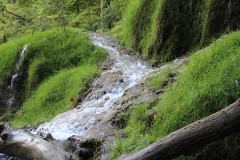 IMG_7768