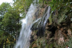 IMG_7773