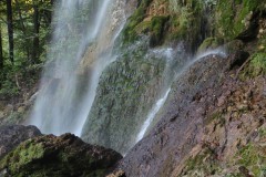 IMG_7774