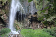 IMG_7796