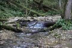 IMG_7858