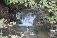 IMG_7862