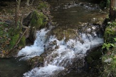 IMG_7865