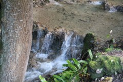 IMG_7886