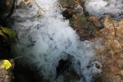 IMG_7892