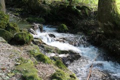 IMG_7904