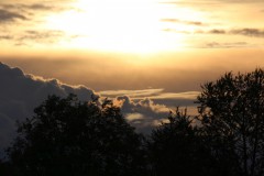 IMG_7953