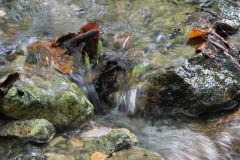 IMG_4829