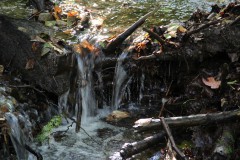 IMG_4838