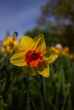 IMG_5677