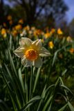 IMG_5679