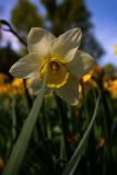 IMG_5681