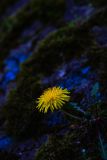 IMG_5705