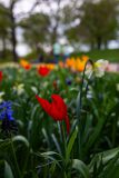 IMG_5707