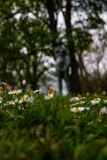 IMG_5710