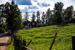 IMG_2693