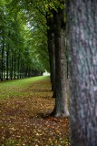 IMG_4570