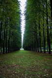 IMG_4571