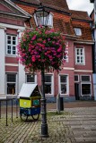 IMG_4585