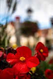 IMG_4586