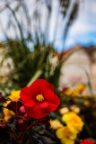 IMG_4587