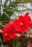 IMG_4590