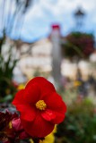 IMG_4593