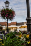 IMG_4596
