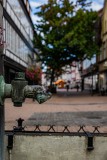 IMG_4598
