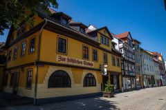 IMG_6339