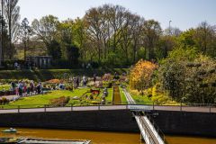 IMG_1784