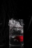 IMG_0036