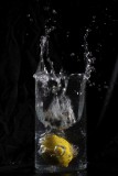 IMG_0042