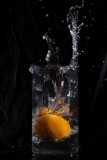 IMG_0050