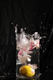 IMG_9992