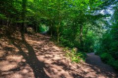 IMG_6222