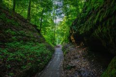 IMG_6224