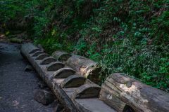 IMG_6234