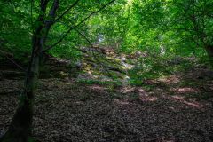 IMG_6238
