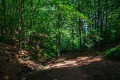 IMG_6240