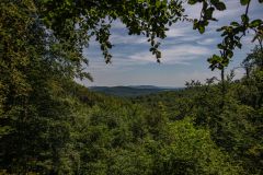IMG_6244