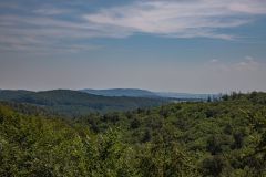 IMG_6247
