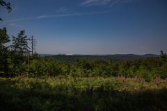 IMG_6248