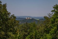 IMG_6253