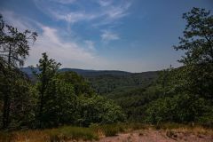 IMG_6254