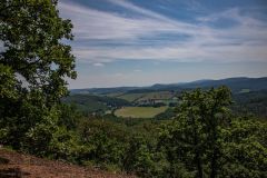 IMG_6256