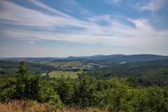 IMG_6260